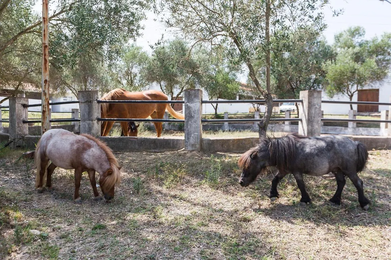 Masia Can Rovira - Esc1852 San Lorenzo de Hortóns Lejlighedshotel