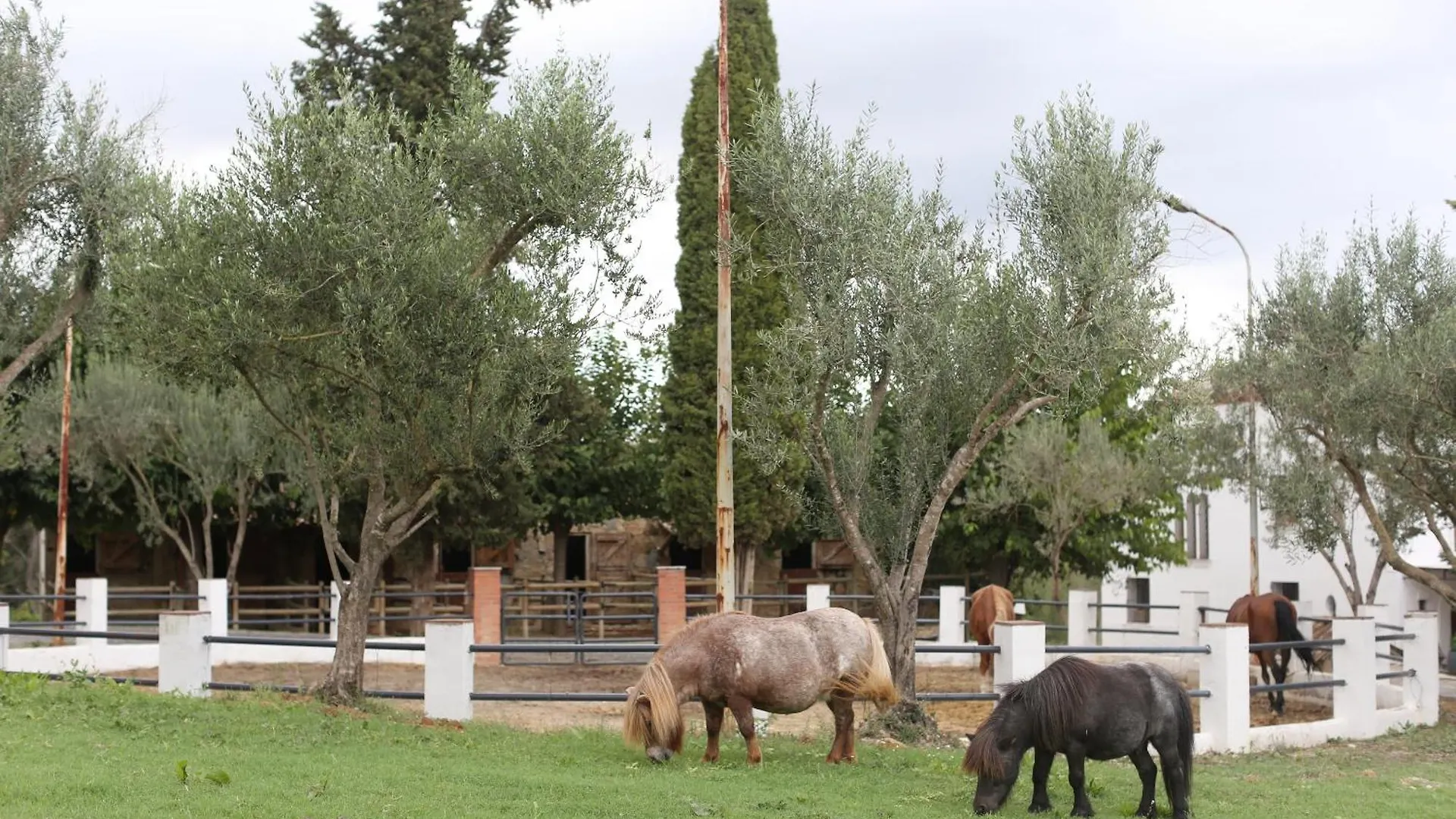 Apartahotel Masia Can Rovira - ESC1852 Sant Llorenç d'Hortons